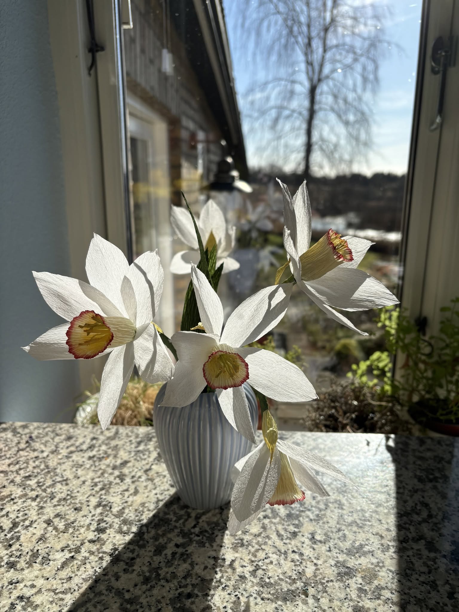 Pinseliljer på køkkenbordet